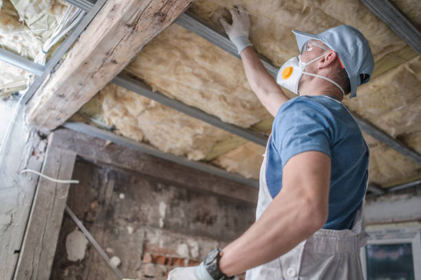 Best Insulation Maintenance and Repair in Crestview, FL