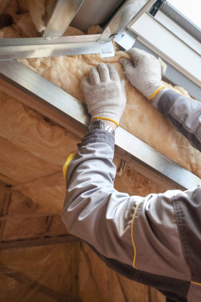 Best Eco-Friendly Insulation in Crestview, FL